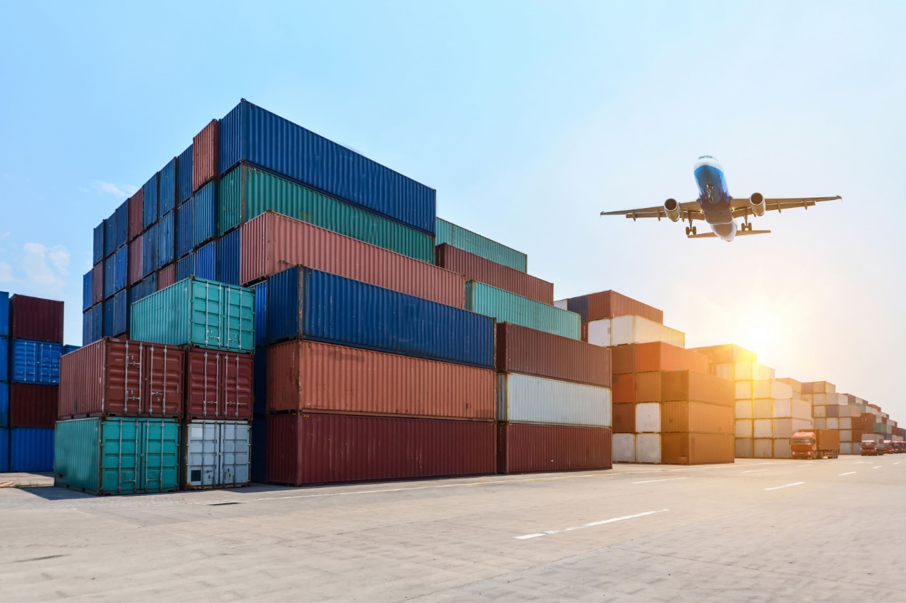 Reliable customs documentation team in India preparing clearances